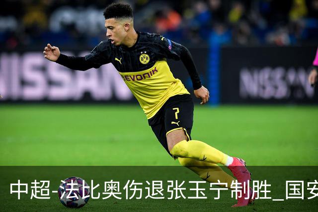 中超-法比奥伤退张玉宁制胜 国安1-0西海岸14轮不败