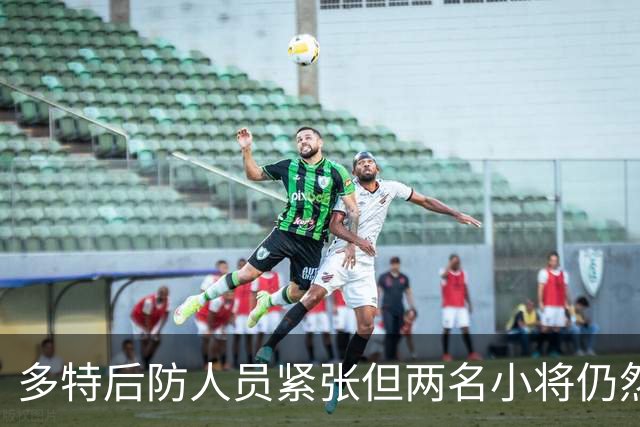 多特后防人员紧张但两名小将仍然落选名单，雷吉亚尼考虑冬季离队