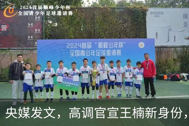 央媒发文，高调官宣王楠新身份，资产查封被带走调查传闻早有真相