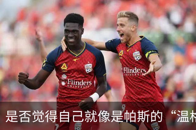 是否觉得自己就像是帕斯的“温格”？小法：温格是独一无二的