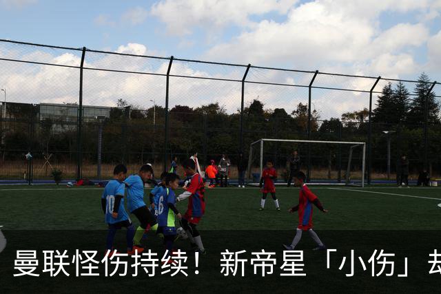 曼联怪伤持续！新帝星「小伤」却缺阵20天，谢什科今年已彻底报销