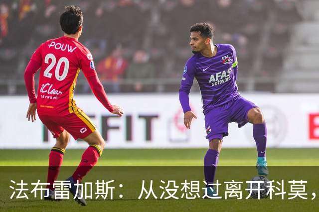 法布雷加斯：从没想过离开科莫，一想这事可能就到头了