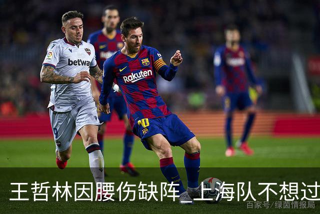 王哲林因腰伤缺阵 上海队不想过度使用大王