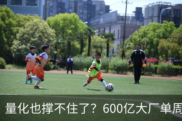 量化也撑不住了？600亿大厂单周净值暴跌9%，顶级巨头50%收益近乎归零