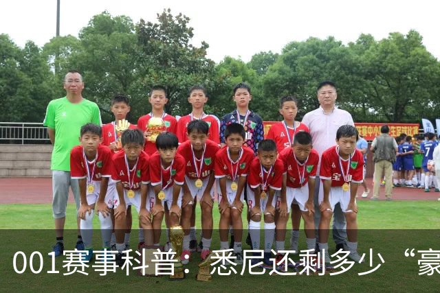001赛事科普：悉尼还剩多少“豪门滤镜”？古德温能否再救阿德莱德联