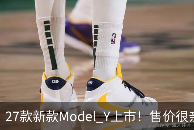 27款新款Model Y上市！售价很亲民，轿跑外观动感十足，续航830Km