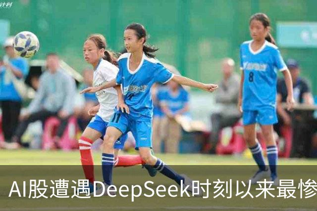 AI股遭遇DeepSeek时刻以来最惨一跌！高盛动量组合抹去全年涨幅，半导体指数逼近年线